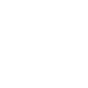 VIP- & Spezialtransporte